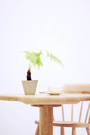 東京のリノベーション