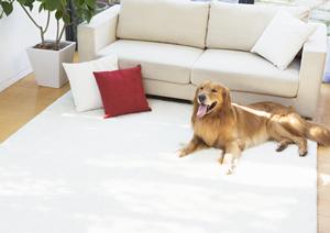 埼玉でおしゃれな注文住宅に住んでみませんか