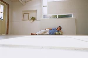 北米、北欧のモダンで機能的な輸入住宅